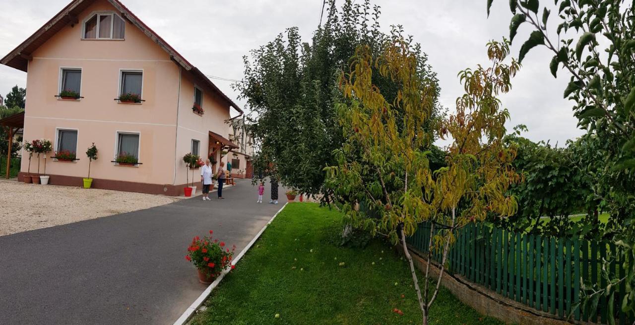 Отель Cazare La Troita Кодля Экстерьер фото