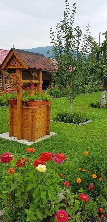 Отель Cazare La Troita Кодля Экстерьер фото
