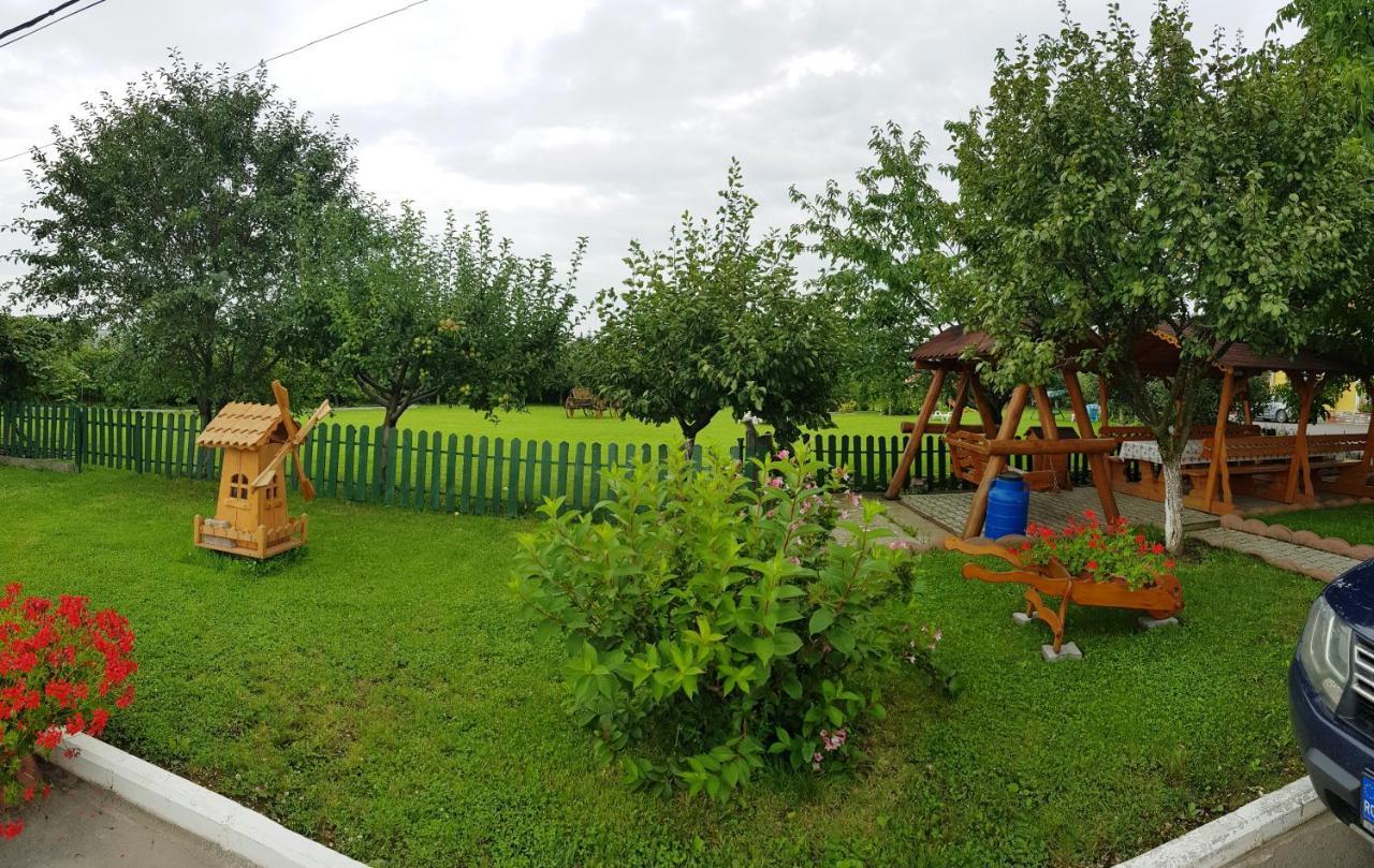 Отель Cazare La Troita Кодля Экстерьер фото