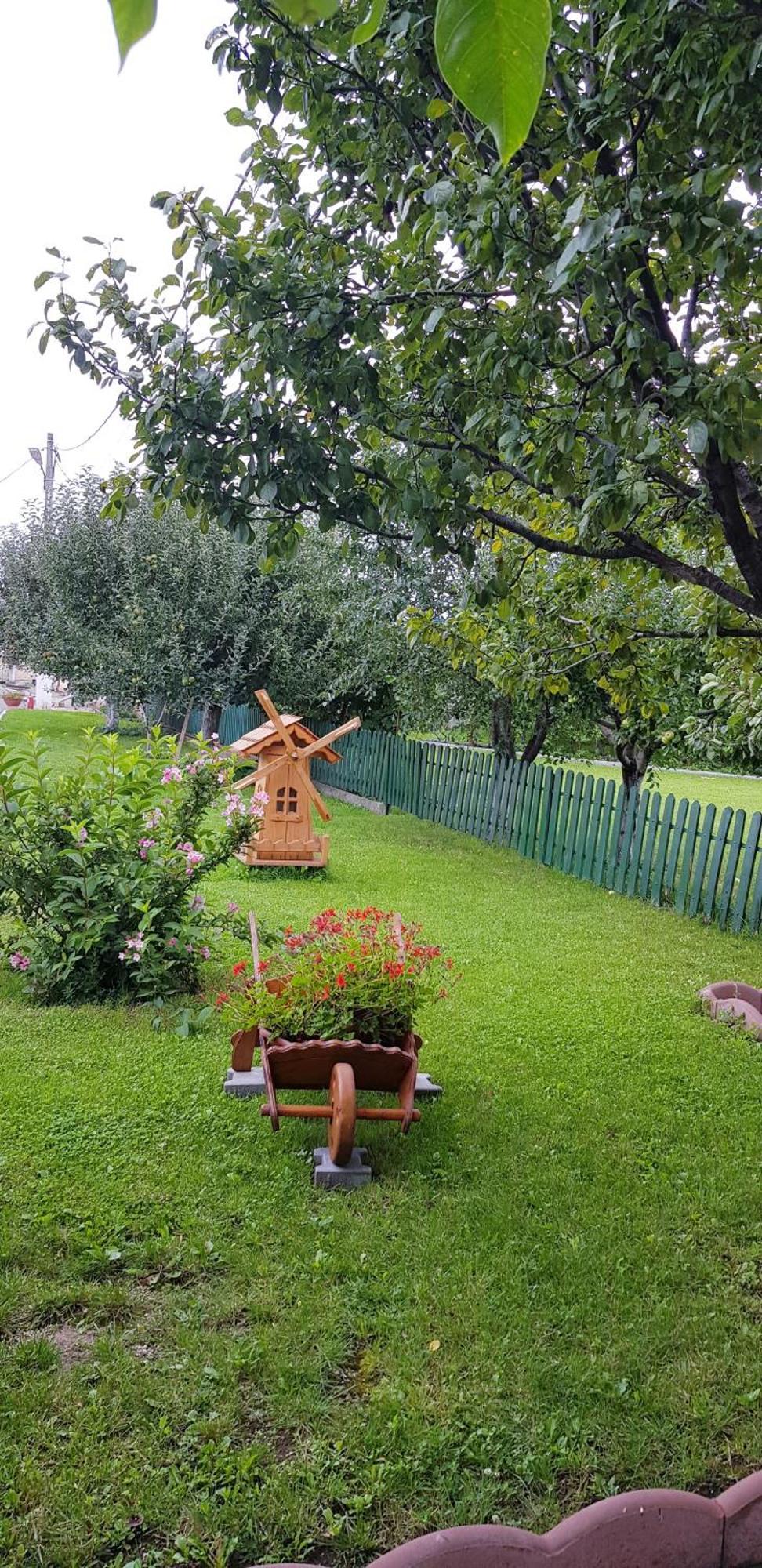 Отель Cazare La Troita Кодля Экстерьер фото